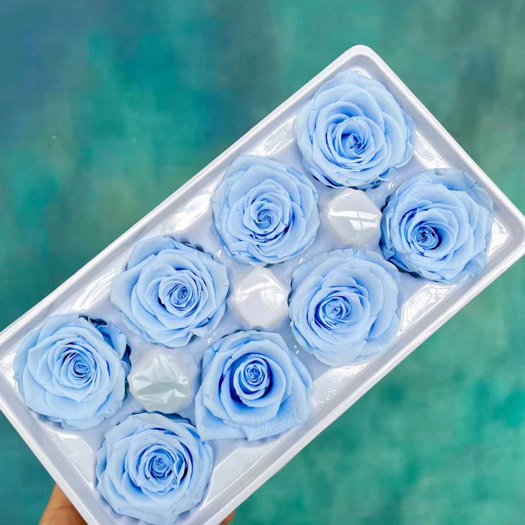 Ice Blue Preserved Rose